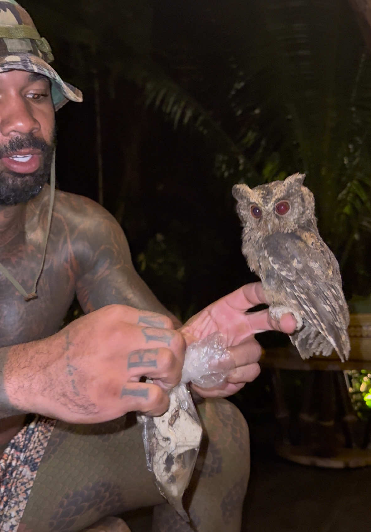 I rescued and released these owls from a market in Bali 🦉#rescue #animals #tiktok #fyp #nature #freedom #indonesia #bali 