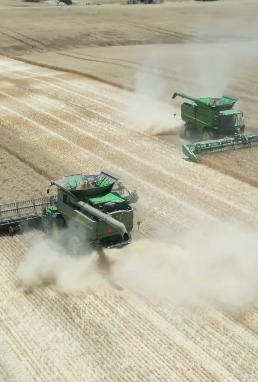 The harvester season is coming to Australia #agriculturalmachinery #agriculture #harvest machine