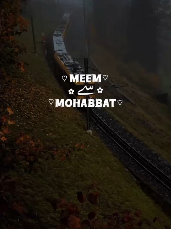 Meem Se Mohabbat (OST) 🫠🫶🏻💕 || Repost Request || #deartiktokteamunfreezmyaccound #deartiktokteamdontunderviewmyvideos #nomutesound #aesthetics #tayyabaesthetic #capcut #editing #songs #lyrics #veiws #grow #foryoupage 