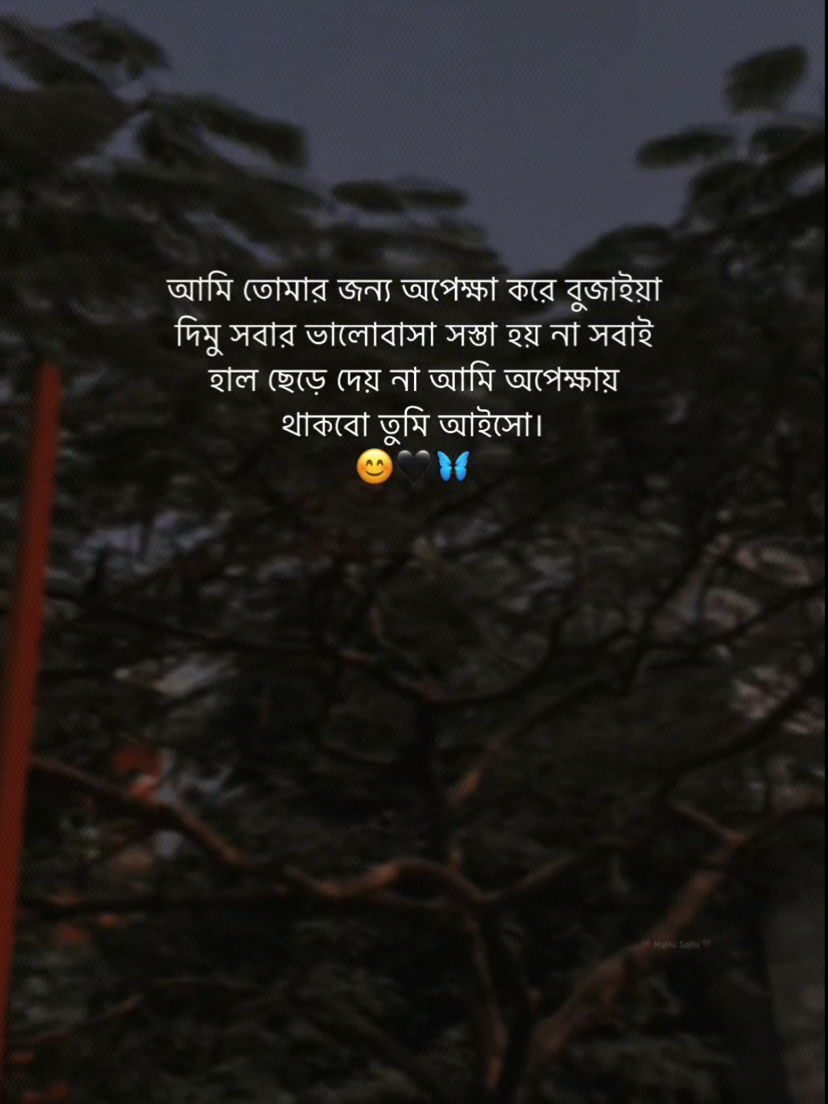 আমি তোমার জন্য অপেক্ষা করে বুজাইয়া দিমু সবার ভালোবাসা সস্তা হয় না সবাই হাল ছেড়ে দেয় না আমি অপেক্ষায় থাকবো তুমি আইসো।  🥺💗🖤🦋 #foryou #foryoupage #fyp #status #caption #writer #mahu_sohu #viral #bdthiktok 