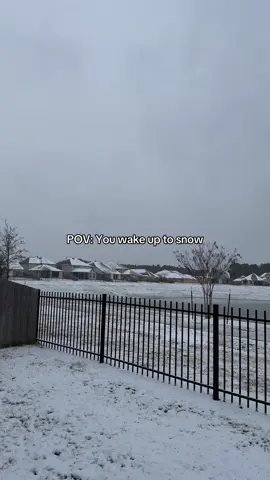 What a beautiful morning 🥺❄️❄️❄️ #houston #houstontx #houstontexas #htx #hou 