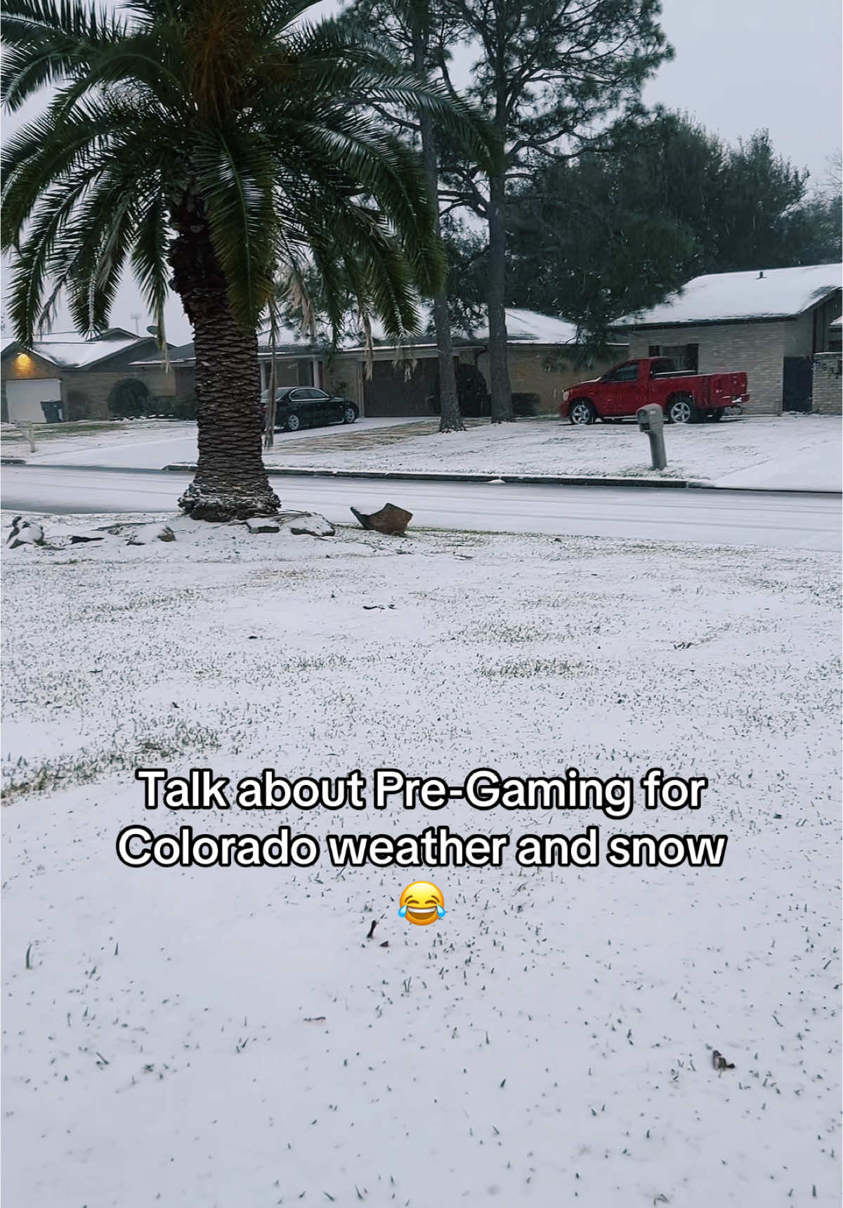 Like do I really need to travel now? Lol heck yes! #texassnow #itssnowing #snowday #texascheck #january2025 #loveit #fun #hahaha #jajaja #itscoldoutside #texasweather #scared #steppingout #foryourpage #engagement 