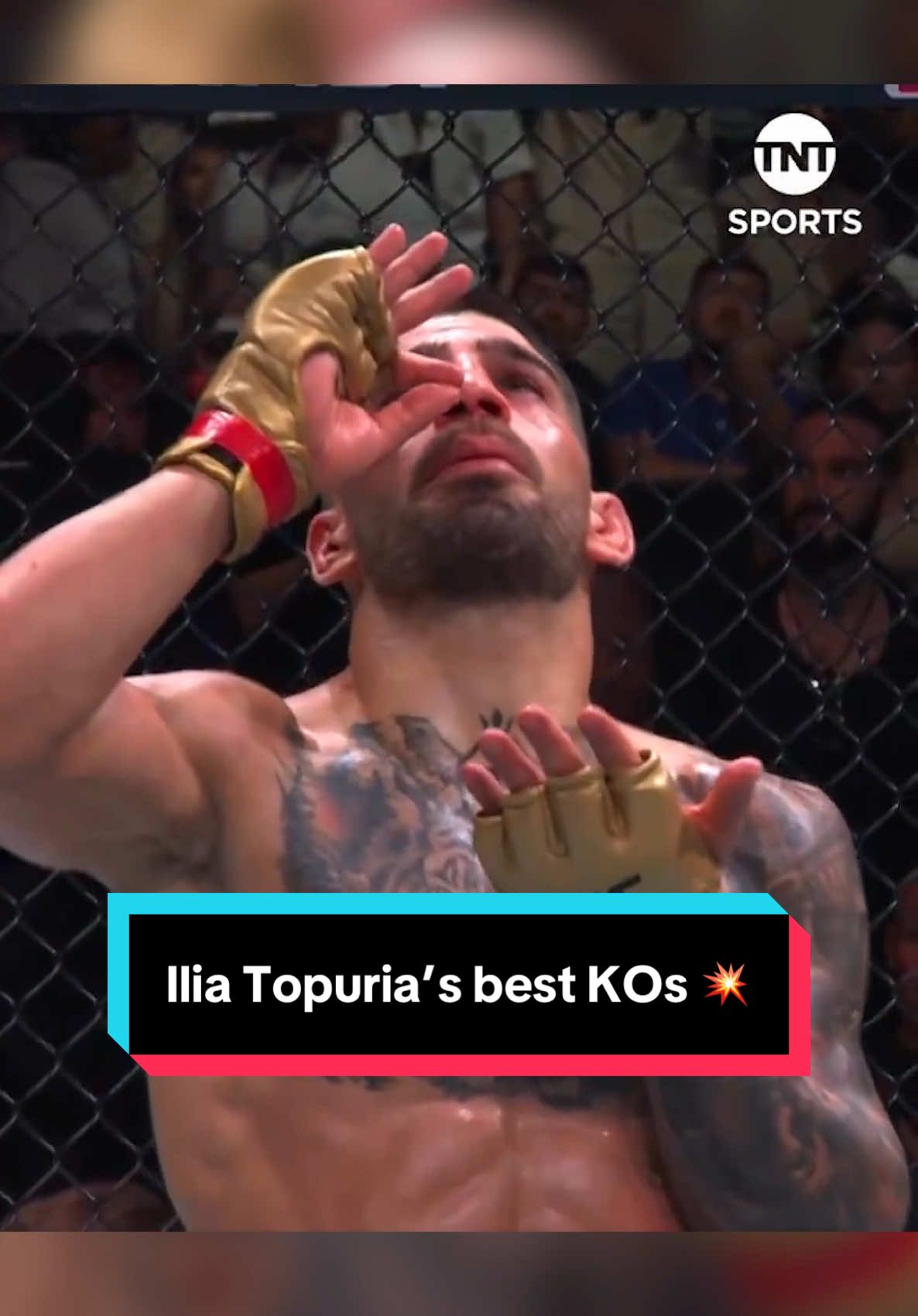 Happy 28th Birthday to the UFC Featherweight Champion Ilia Topuria! 🇬🇪🏆🇪🇸  Celebrate the champ’s birthday with his best knockouts in the UFC! 💥 #UFC #mma #ko #knockout #boxing #iliatopuria #spain #topuria #fight #martialarts 