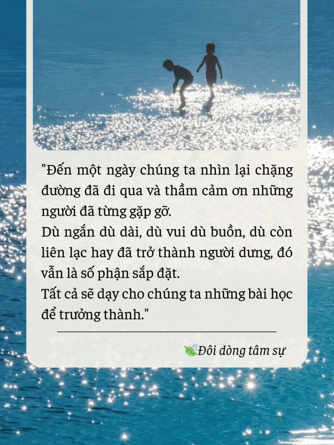 Đến một ngày, chúng ta sẽ thầm cảm ơn những người từng gặp gỡ #skybooks #trending #doidongtamsu 