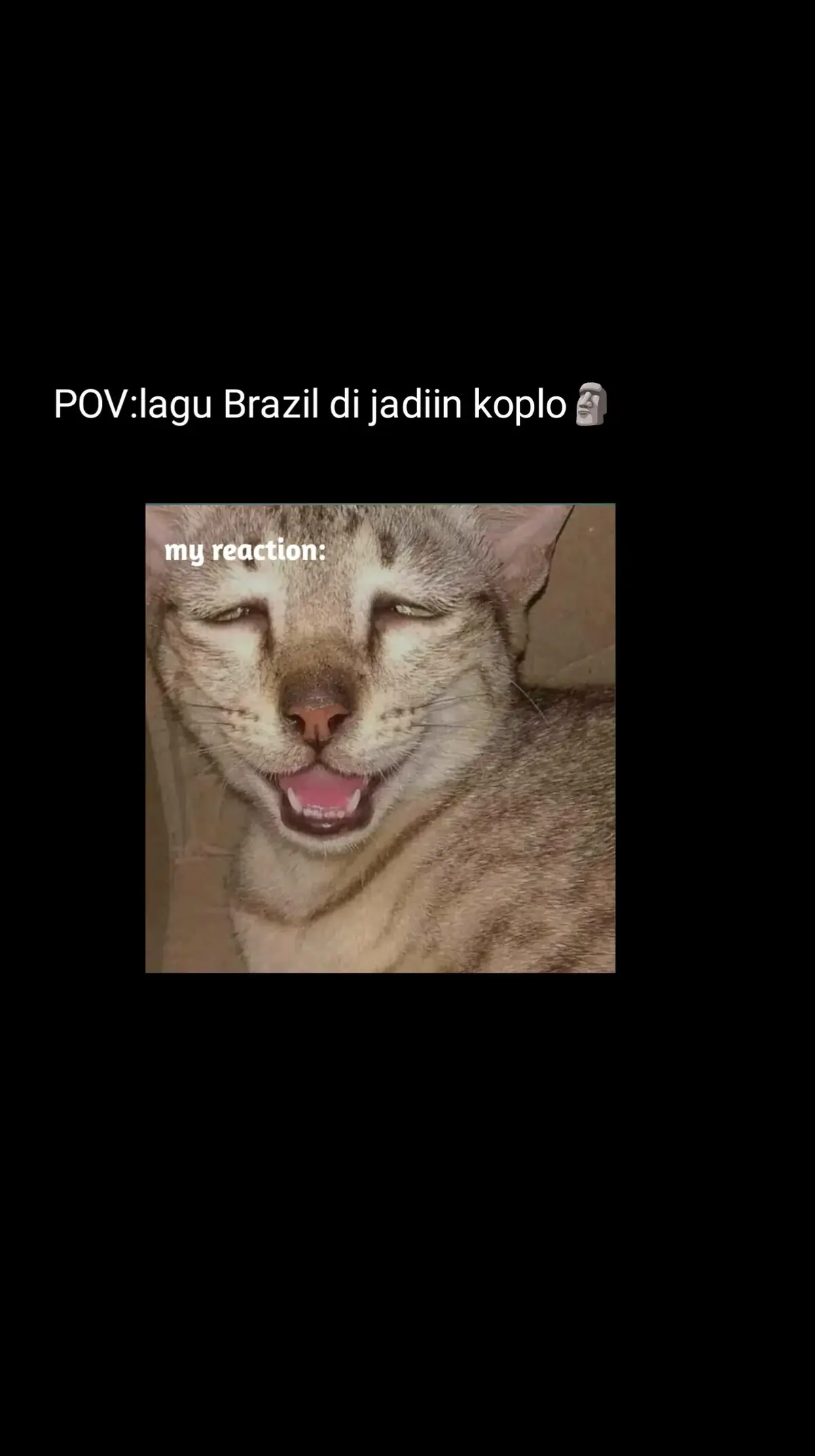 bjir di koplo in🗿 #liriklagu #lagubrazil#koplo#lagubrazilkoplo#fyp #4u #koplo #lagudikoplo#meme#kocak #kucing#myrection #fyppp #fypga #bismilahfyp #laguterbaru #firal #meme #lagubrazil #lirikdugong #fypp #fyp #fyp #fyp #fyp #lagubrazil #lagukoplo #di #koplo#koplotiktok #dangdut #kucing #dugong #video #tiktok #tiktokaward #4you #fyp #lagubaru #terbaru #ter #trending 