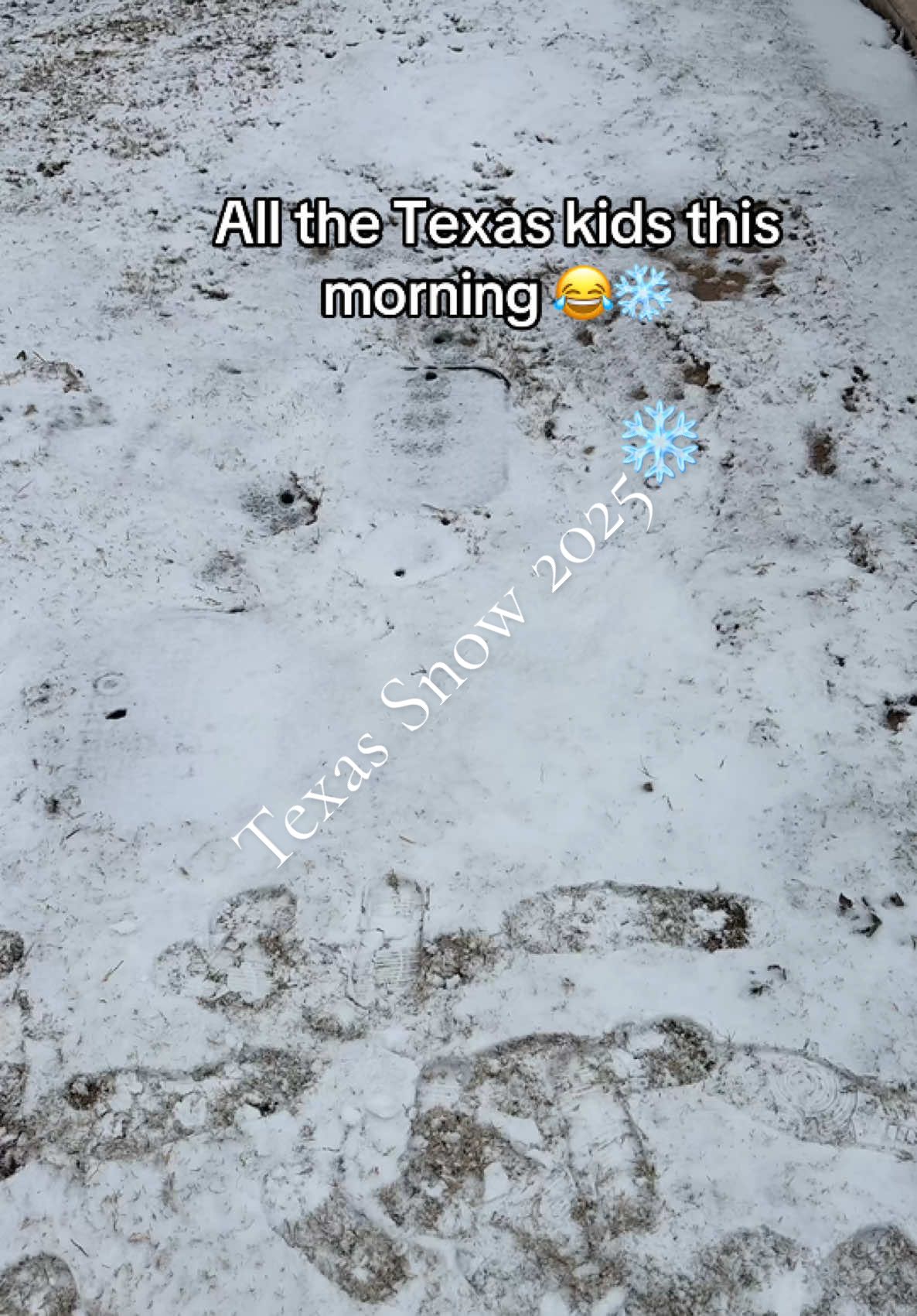 We got a little action 🥰❄️☃️ #texassnowday #texassnow2025 #snowstorm2025⛄️❄️ 
