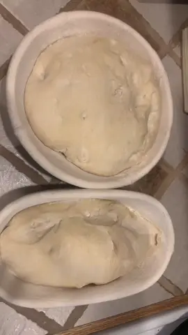 Day two of sourdough. #sourdough #baking #sourdoughbread #bakingday #warmbread #homestead 