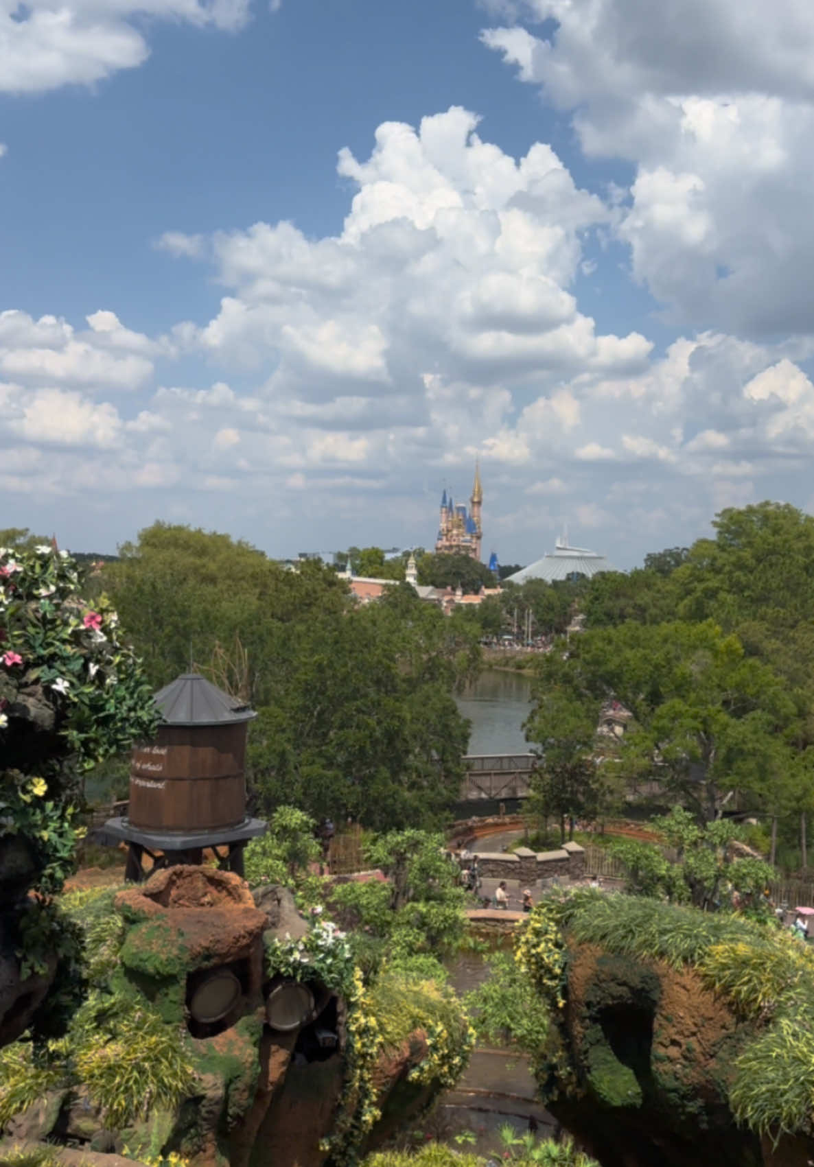 Going down the bayou! 🐊🏞️ #fyp #rollercoaster #vibes #vibes #orlando #disney #disneyworld 