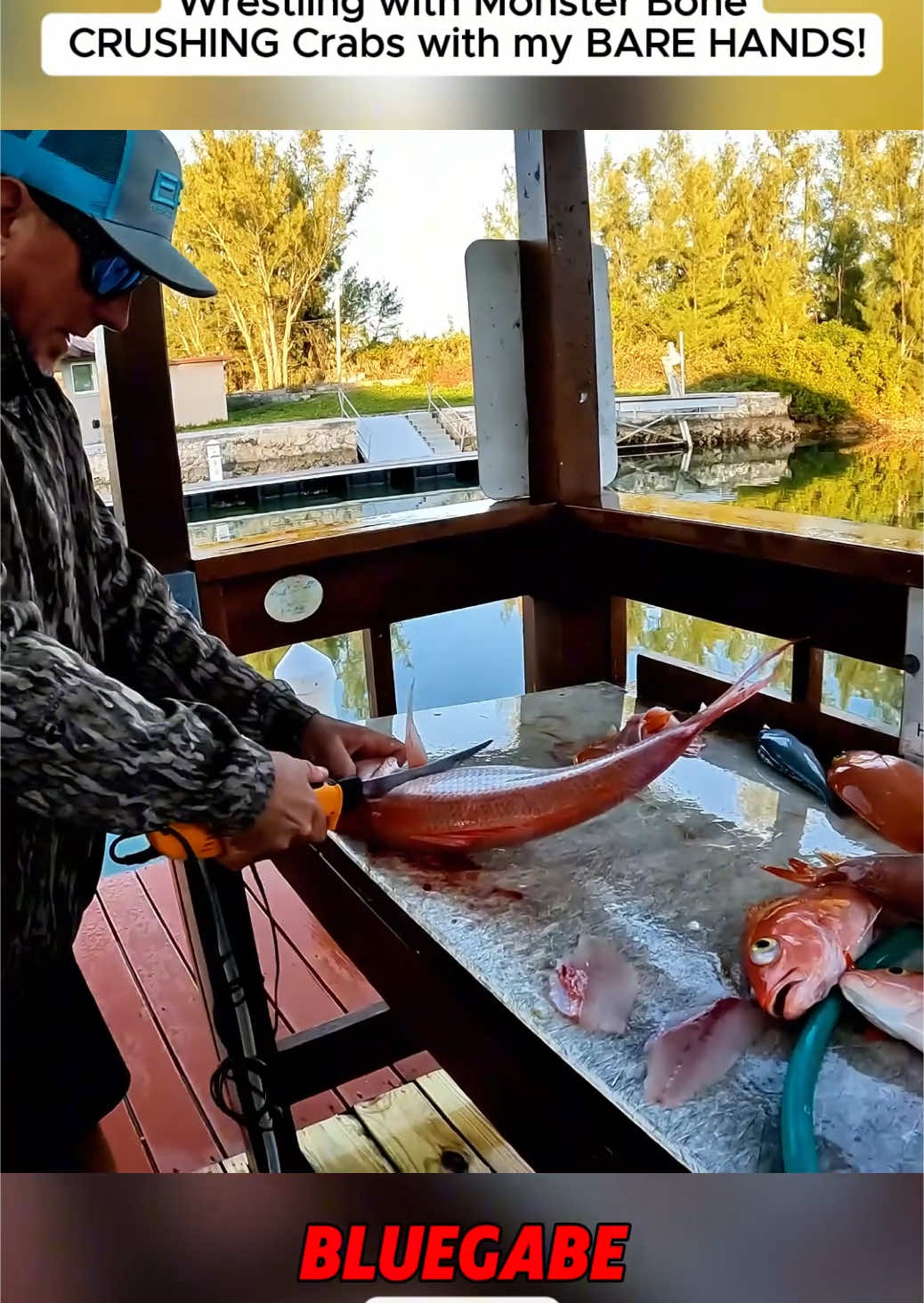 Wrestling with Monster Bone CRUSHING Crabs with my BARE HANDS! (Catch Clean _ Cook) #lobster #bluegabe #virul #bluegabe80 #fish #shark #fypシ#fishing #catching #bigfish #kellyyoung 