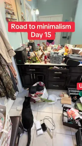 Where is everyone tuning in from?   #creatorsearchinsights #CleanTok #cleaningmotivation #cleanwithme #declutter #underconsumption #minimalism #fyp 