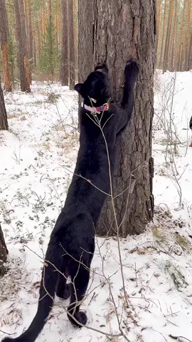 She can go up and down 😂