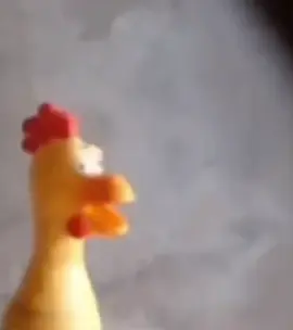 #memestiktok #mem #fyp #dog #attack #rubber #duck #chewtoy #funn 