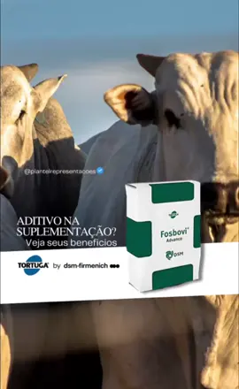 Aditivo na suplementação? Descubra como o Fosbovi®️ Advance pode potencializar os resultados do seu rebanho! 🐂 #representações #pecuariabrasil🇧🇷🐂🐂🐂🐂 #nutricaoanimal  #tortuga #mineral #suplementação