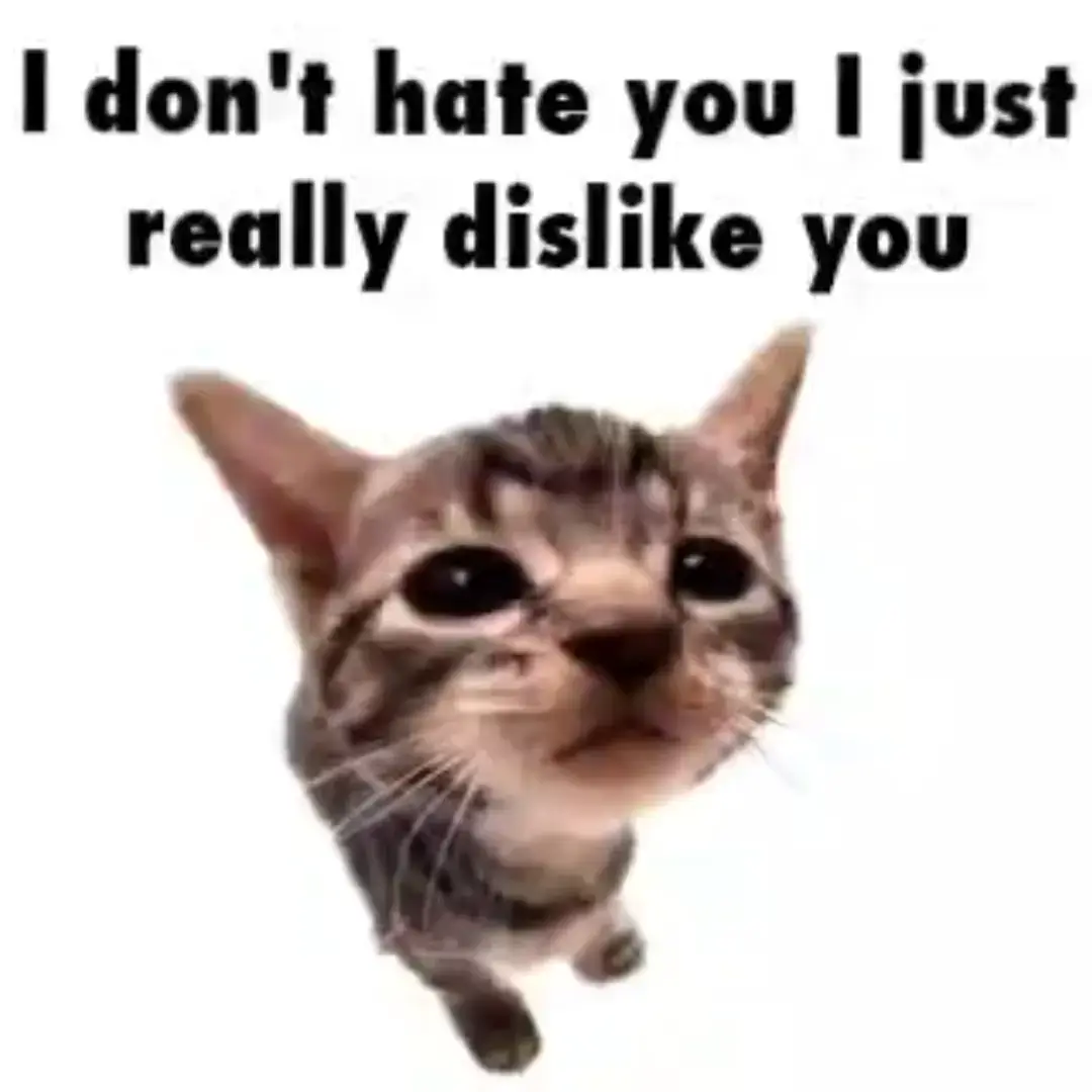 it's different I swear! #meme #foryou #fyp #elgatito #cat 