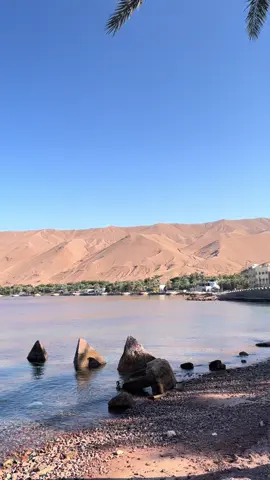 #قران_كريم #تصويري #قران_كريم_بصوت_جميل #القران_الكريم_راحه_نفسية_ارح_قلبك_ومسمعك #سبحان_الله_و_بحمده_سبحان_الله_العظيم #استغفر_الله_العظيم_واتوب_اليه #القارئ_محمد_الفقيه #اكتب_شي_توجر_عليه_باذن_الله 