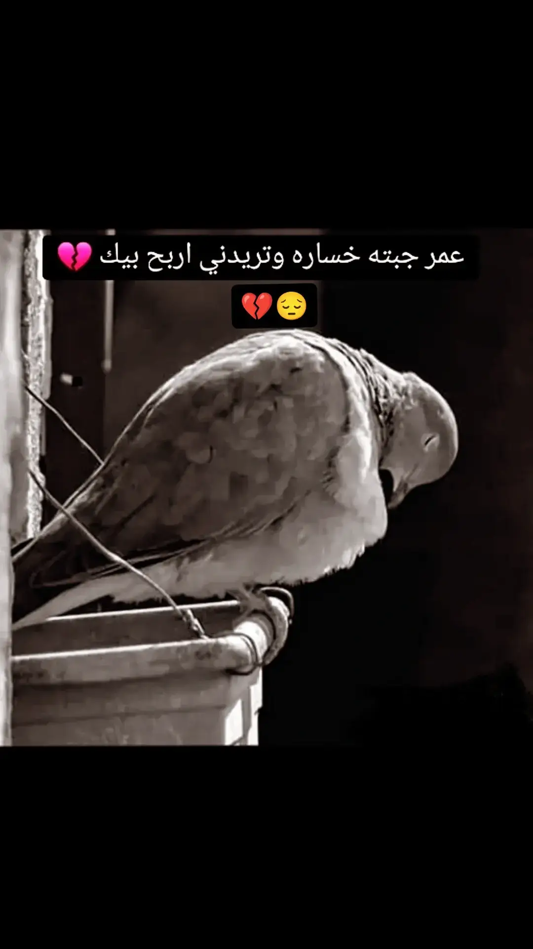 #عبارات_حزينه💔 #فاگدمحب💔😔 #مشاهدات #tiktongsongs #محمودالجبلي #جيش_حسحس #creatorsearchinsights 