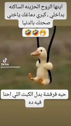 حبة فرفشه  😂😂