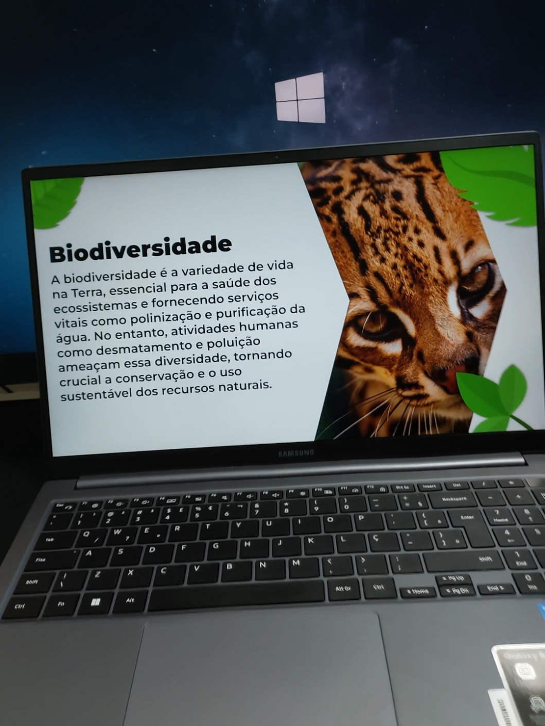 Tutorial de slide no PowerPoint 🫡 #powerpoint #slide #biodiversidade #escola #apresentação 