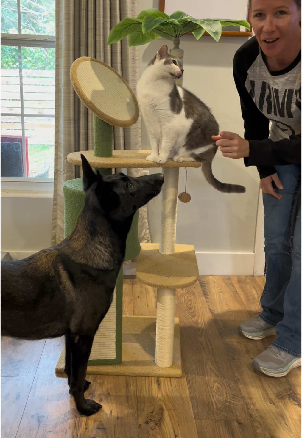 Awesome Cat Scratching Tower @HKZTECH #cattower #catscratchingpost #catmom #cattree #iloveit 