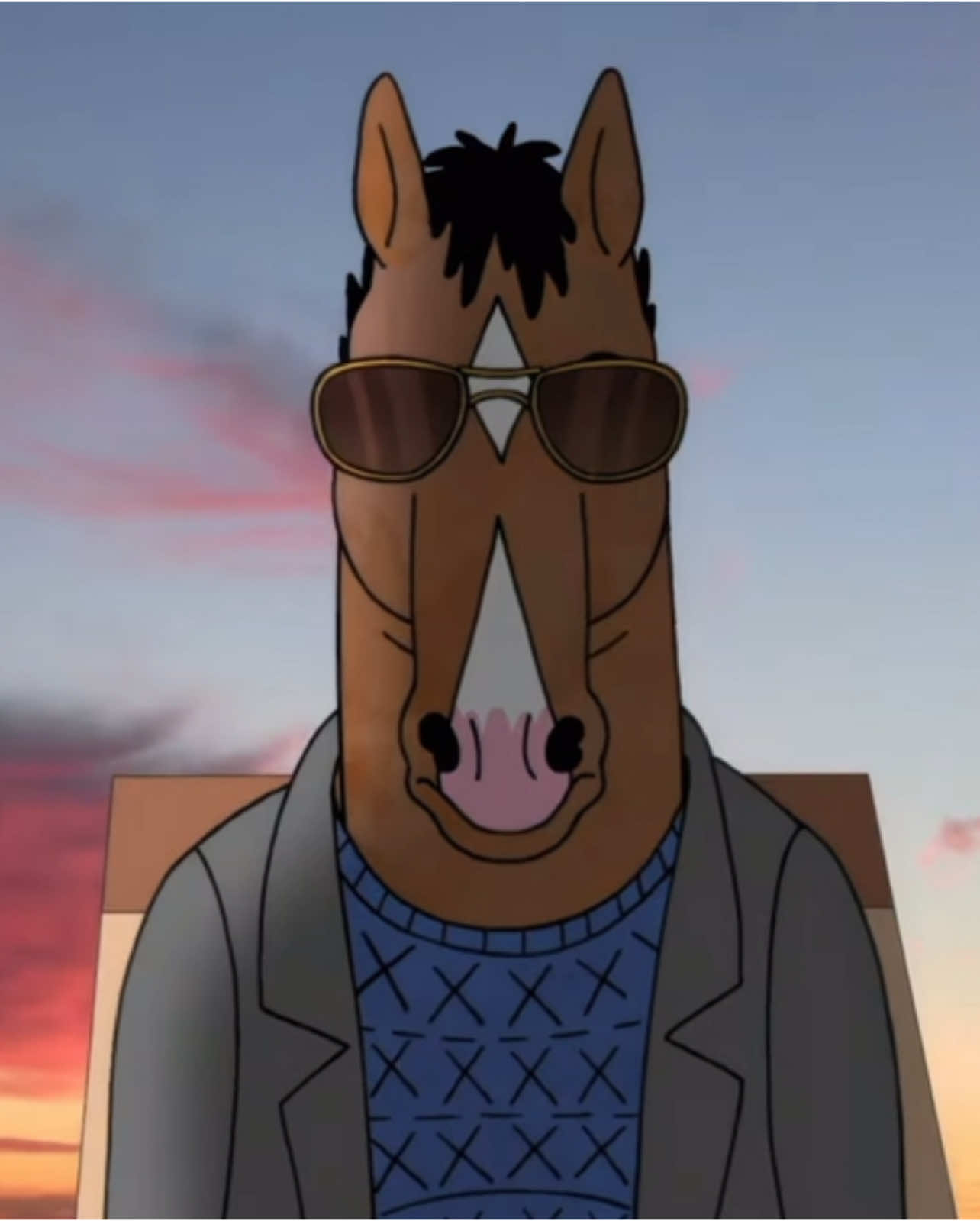 again, watch this masterpiece of a show if you havent already #bojackhorseman #bojack #bjh #bojackhorsemanedit #sarahlynn #theviewfromhalfwaydown #dianenguyen #beatricehorseman #fyp 