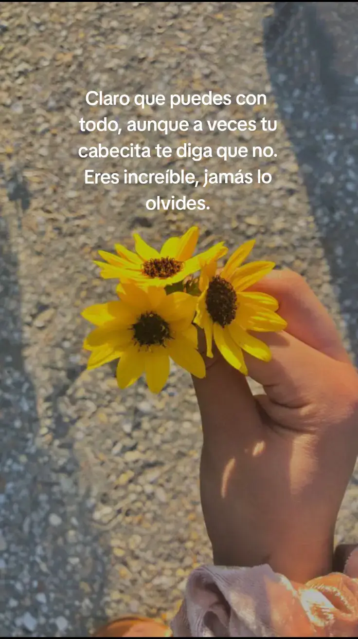 🌻