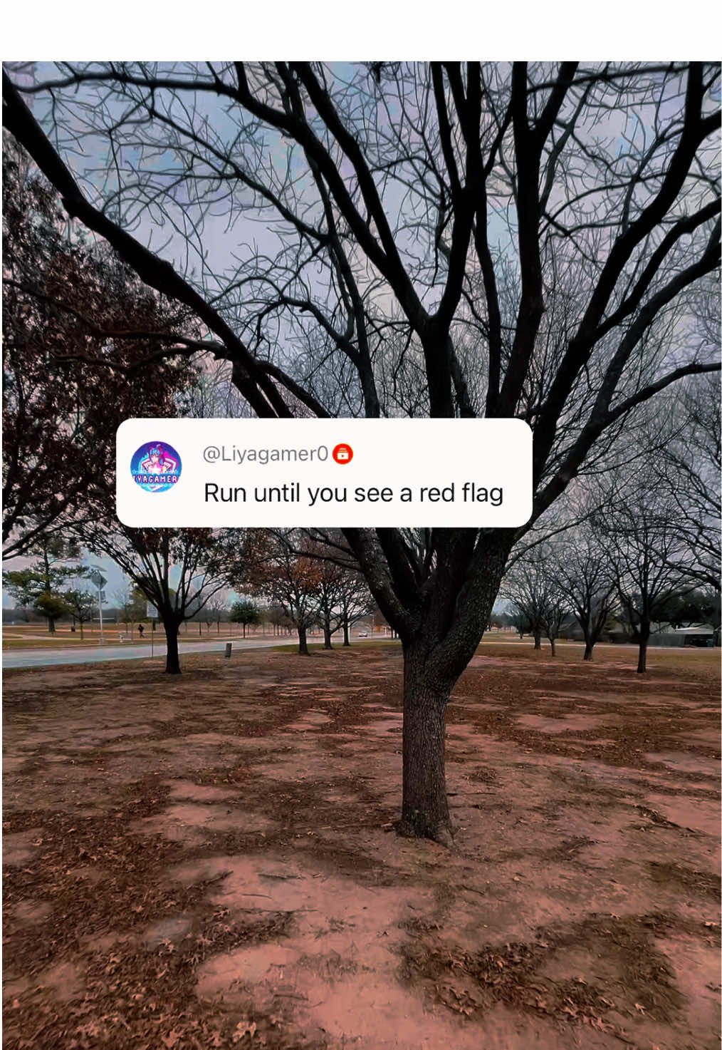 🚩 #redflag 