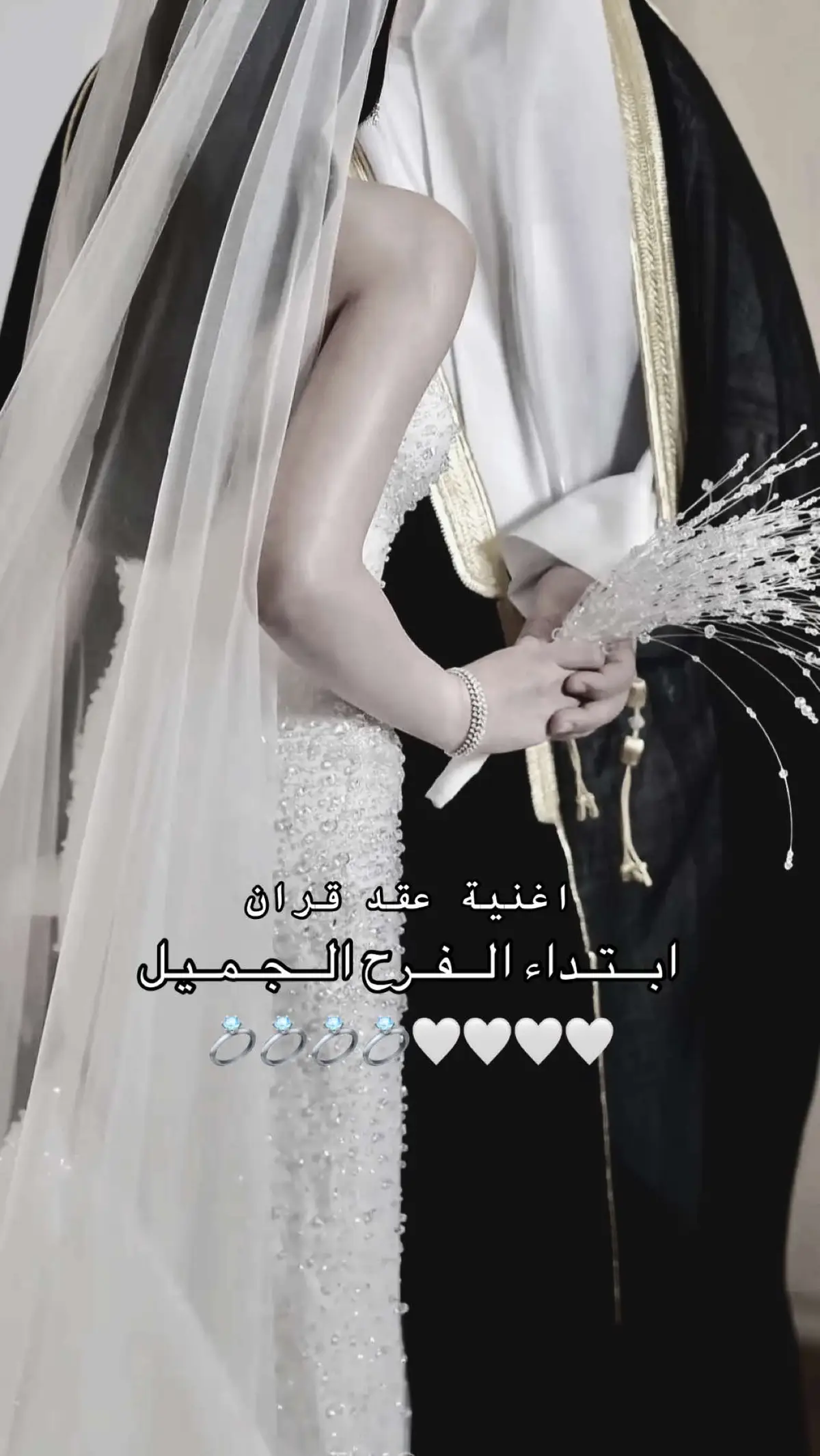 #زفات_عرايس #زفات_عروسه #زفات_عروس #زفات_ملكه #زفات_عقد_قران #زفات #زفاف #زفة #ملكه #عقد_قران #عرايس #عروس #عروسه #مالي_خلق_احط_هاشتاقات #الهشتاقات_للشيوخ #الشعب_الصيني_ماله_حل😂😂  