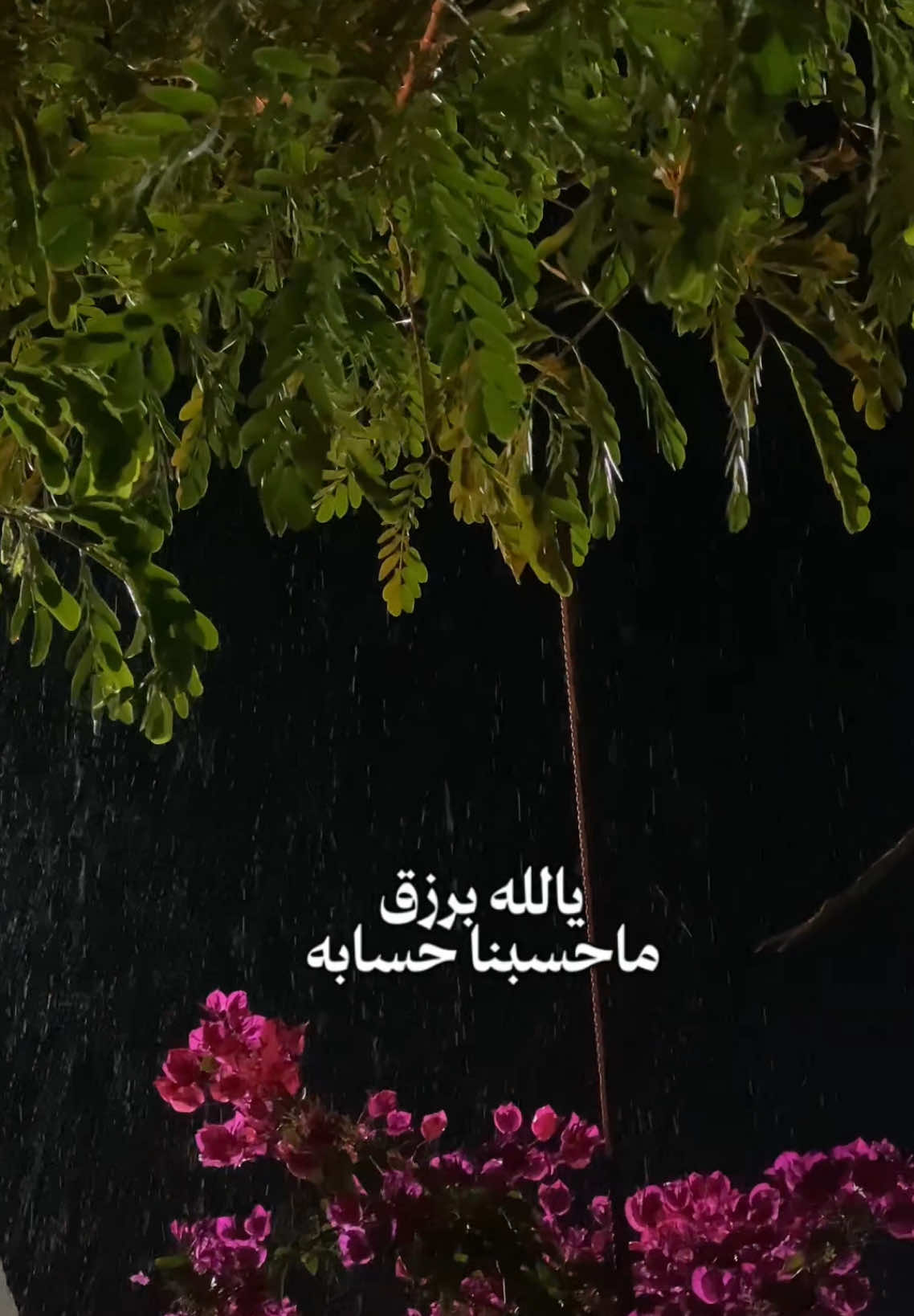 يارب🌷. #الاكسبلور #تصويري #مَرام_العتيِبي #explor 