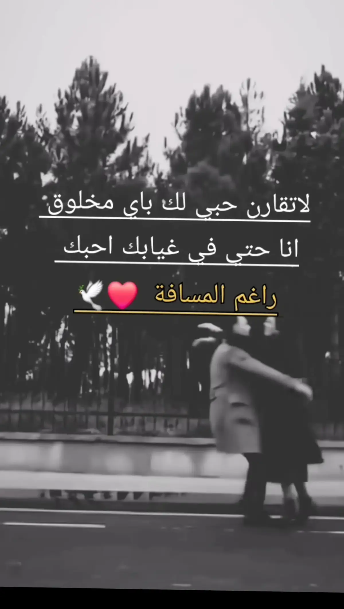 #❤❤❤❤❤ #yfpシ #yfpシforyou #زيزو😭💔 #yfpシ #بحبك 