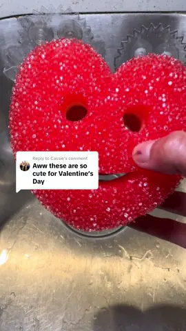 Replying to @Cassie Heart Shaped Scrub Mommys?! Yes Yes Yes 😍😍 #scrubmommy #scrubdaddy #Home #Lifestyle #CleanTok @Scrub Daddy 