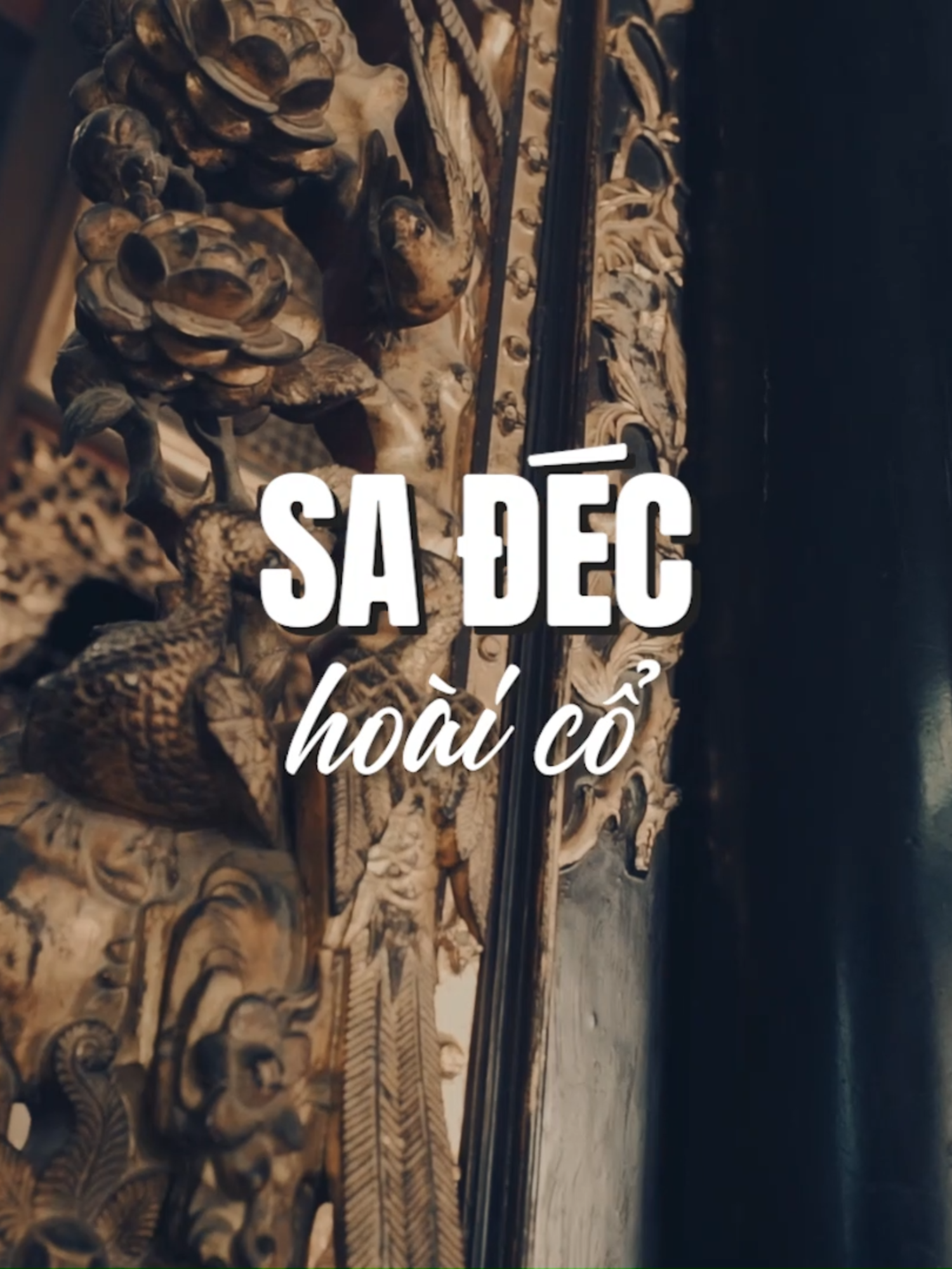 Sa Đéc đâu phải chỉ có làng hoa Sa Đéc thôi đâu #sadec #sađéc #diaphuongchi #dulichmientay