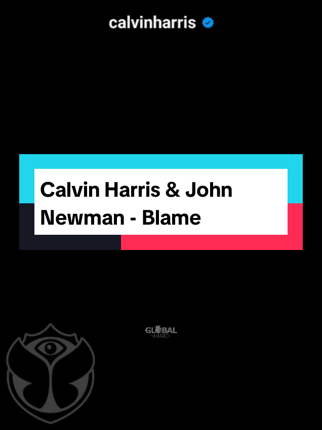 Calvin Harris & John Newman - Blame #calvinharrisjohnnewman #calvinharrisblame #johnnewman #blame #edm #remix #forever #fyp #foryou #globalmusic911 