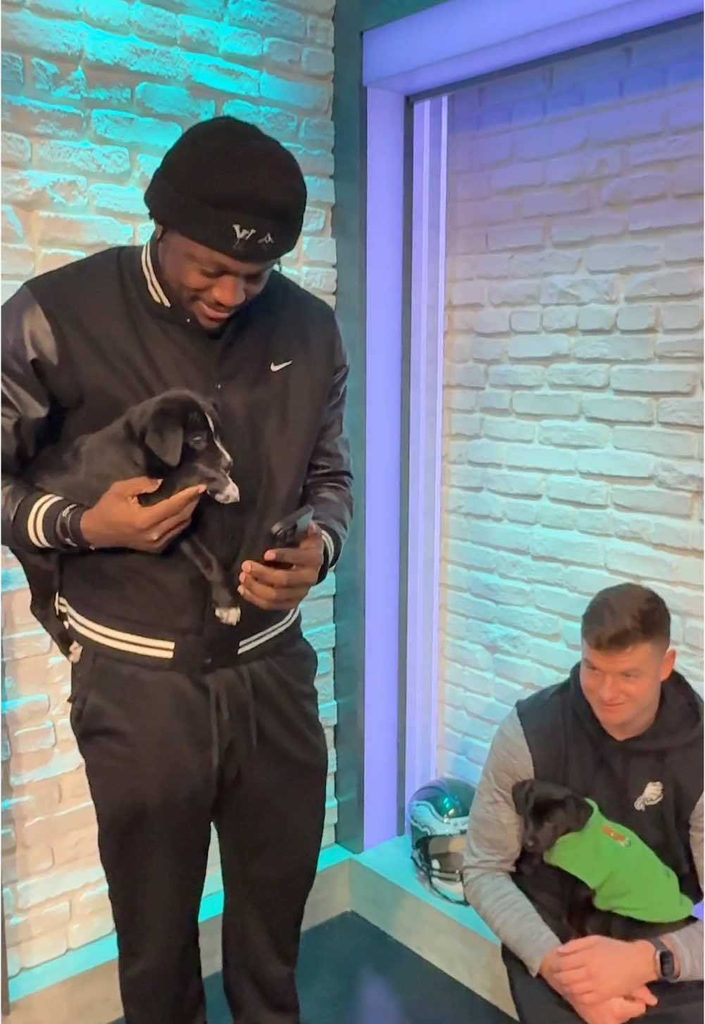 We got that dawg [adoption] mentality 🐶 #eagles #nfl #puppies #petadoption #playoffs 