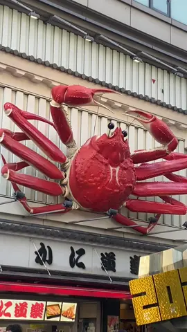 日本大阪心斋桥有多少人来过这个地方#记录日本生活 #街拍 #心斋桥 #带你了解最真实的日本 