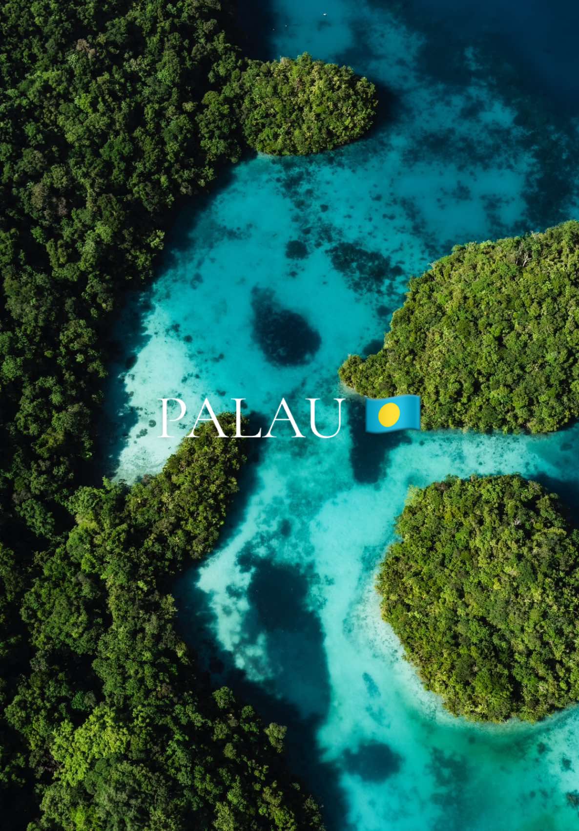 Palau ✈️🇵🇼 #Palau #TravelPalau #IslandParadise #TropicalVibes #TravelGoals #BucketListDestinations #OceanAdventures #ExplorePalau #HiddenParadise #IslandGetaway #SnorkelingHeaven #UnderwaterWorld #CrystalClearWaters #NatureLovers #TravelInspiration #DreamDestination #EcoTravel #tiktoktravel #AdventureAwaits #SeaLife #IslandHopping #PalauAdventures #TravelVlog #ExploreMore #traveltiktok 