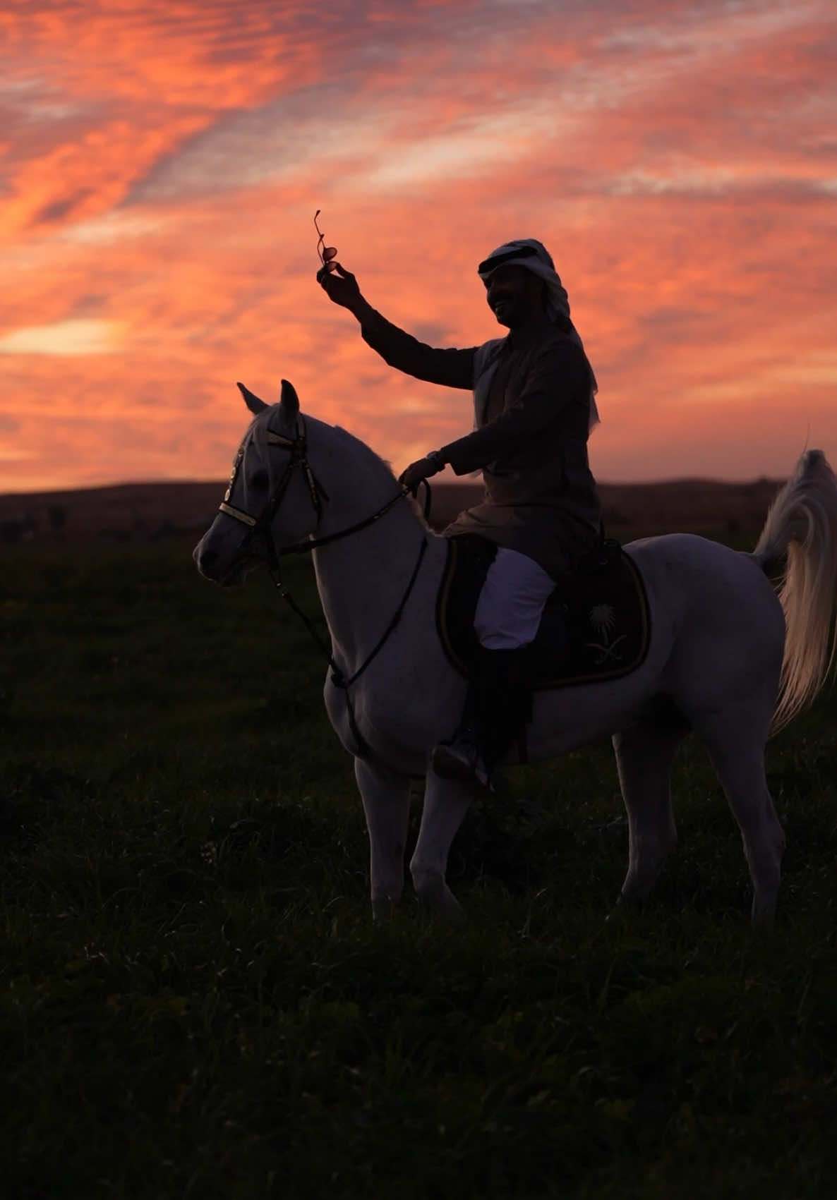 نسيت الخوف والمحظور نسيت اني ولد شمر 👨🏻‍🦯 #حايل #عرضه #شمر #خيل_وخياله🐎 #اكسبلور #explore #hail #fyp #foryou 