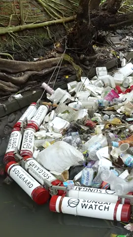 🚨 Styrofoam overflow – Our barriers in East Java are catching so much styrofoam, one of the most harmful types of plastic polluting our waterways. The white styrofoam you see in this video, or Expanded polystyrene (EPS) is made up of 98% air and quickly breaks down into tiny particles, which are almost impossible to collect. Through our barriers, we are able to prevent this plastic from reaching the ocean, before it starts breaking down into small particles. This barrier alone has caught an impressive 7,173 kg of waste since it was installed.