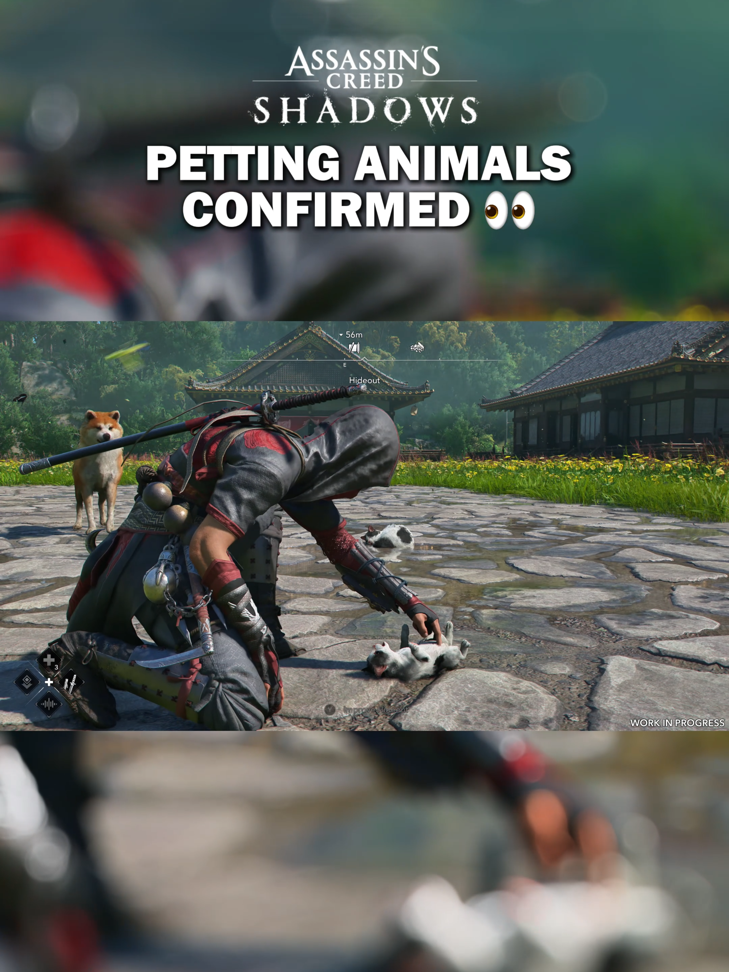 Here's some of the animals you can pet #assassinscreedshadows #WhatToPlay #GamingOnTikTok