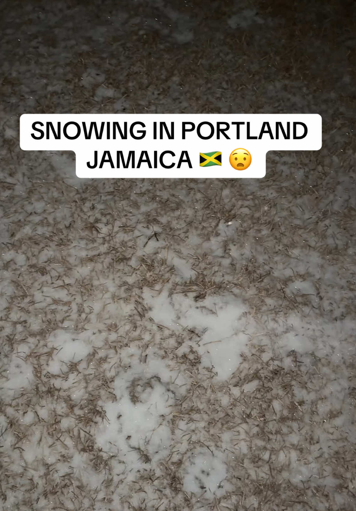 This Unbelievable!! 😅  #fyp #jamaican #tiktokjamaica #snow 