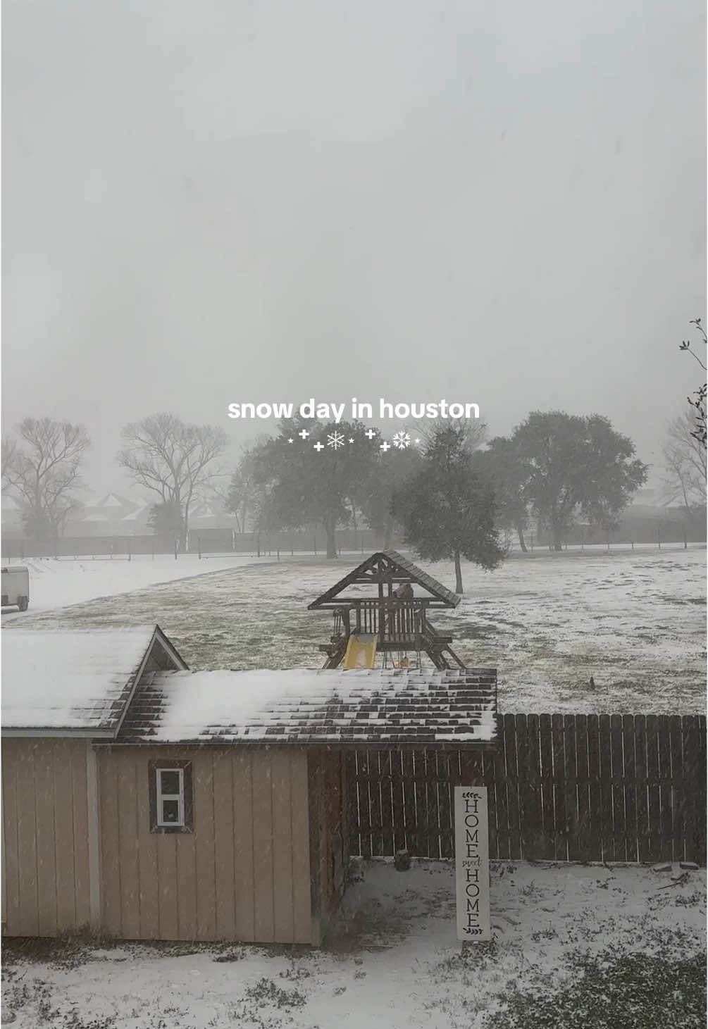 1.21.25 in htx ❄️🥹  • • • #snowday #houston #houston #houstontx #snowingintexas #fyp 