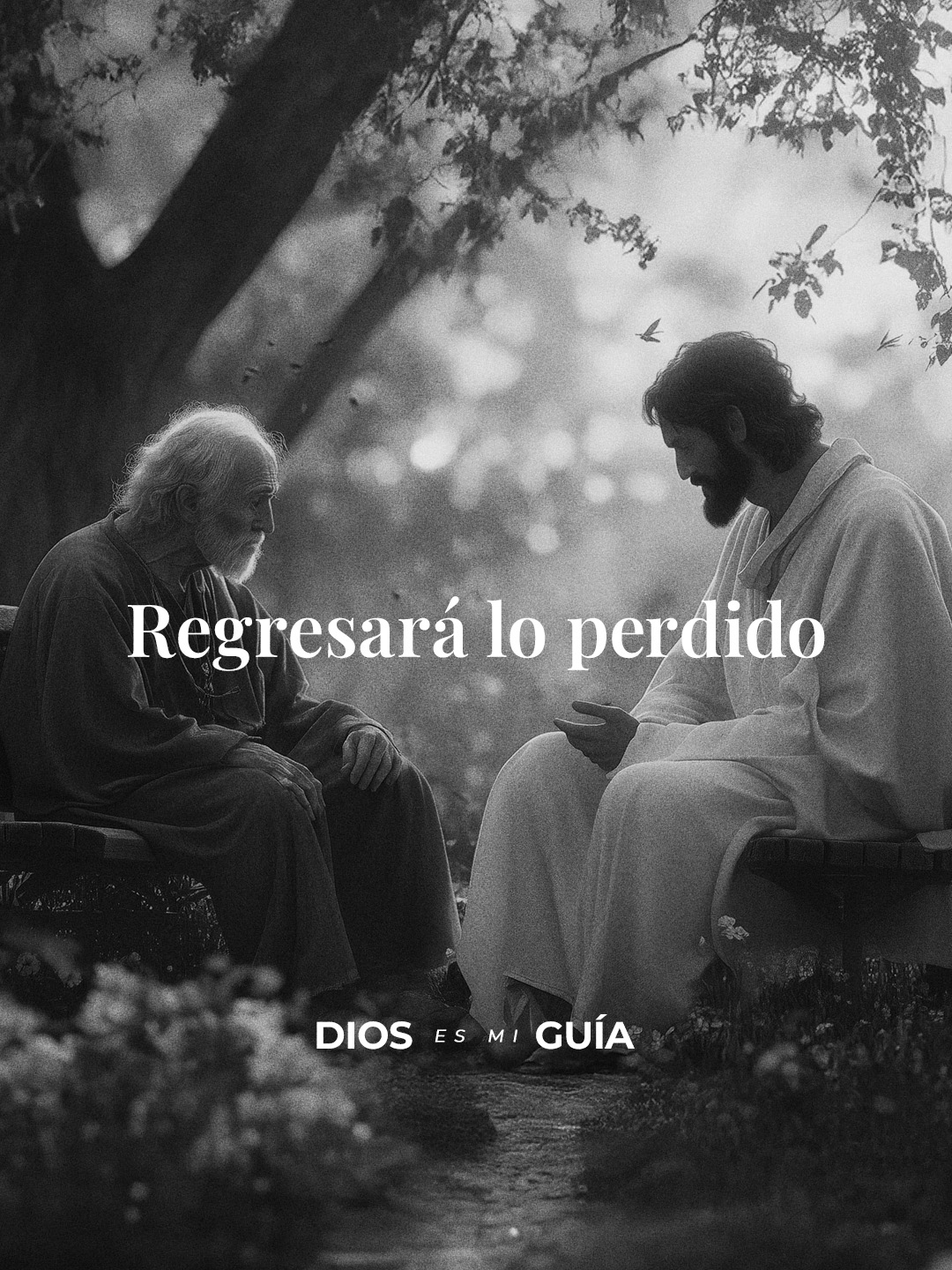 Regresará a tus manos todo lo que perdiste #creerendios #diosteguia #diostedicehoy