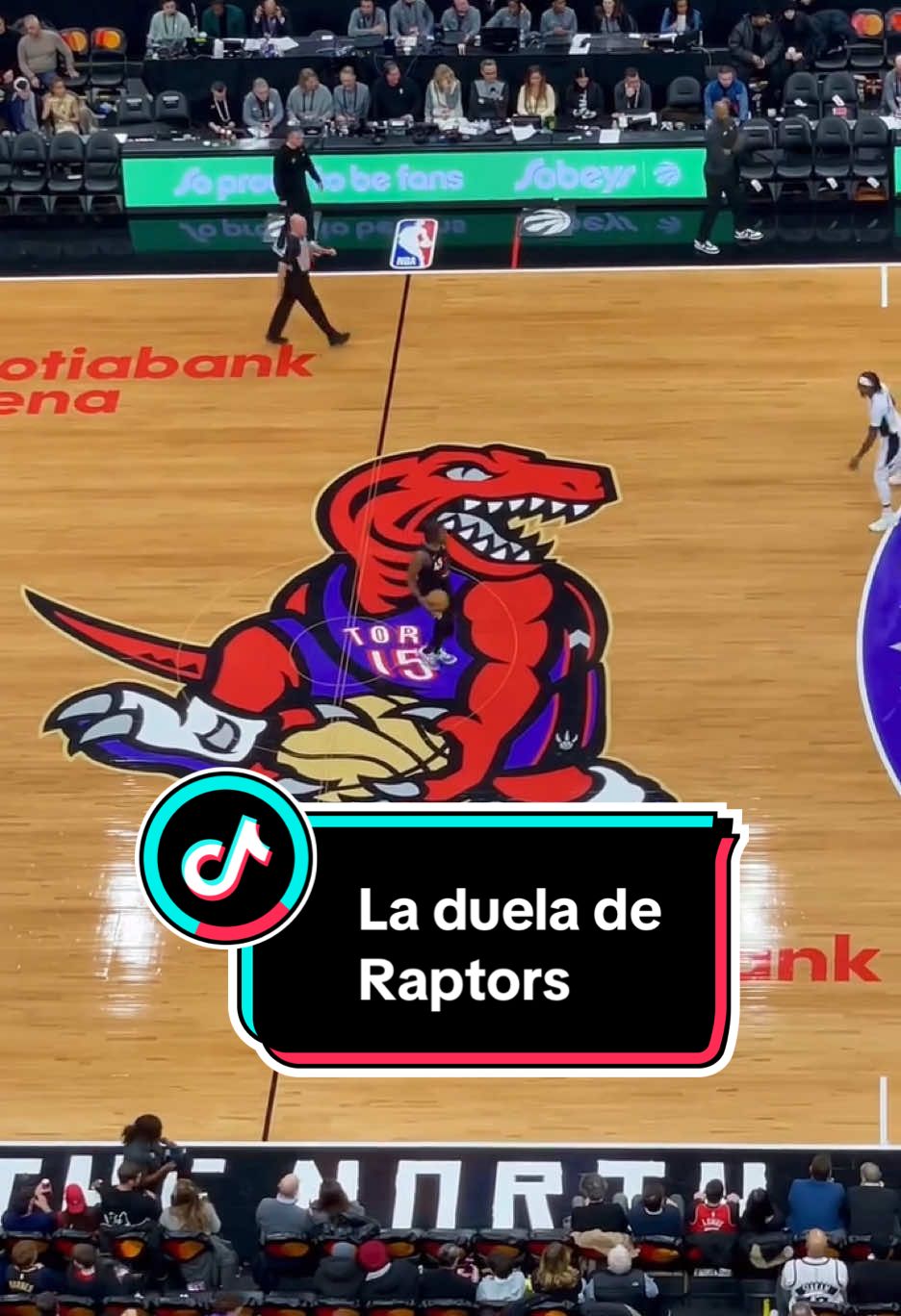 ¿Quién más está enamorado de esta duela? 😍🦖🏀 . . #NBA #TikTokDeportes #raptors #court #designcourt #basketball 