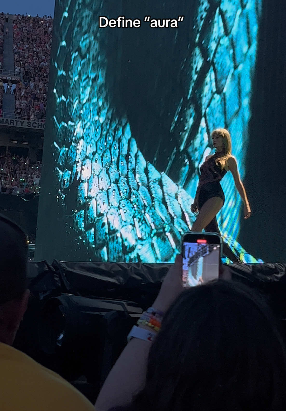 Idk which to post so I’m posting both #taylorswift #reputation #fyp #aura 