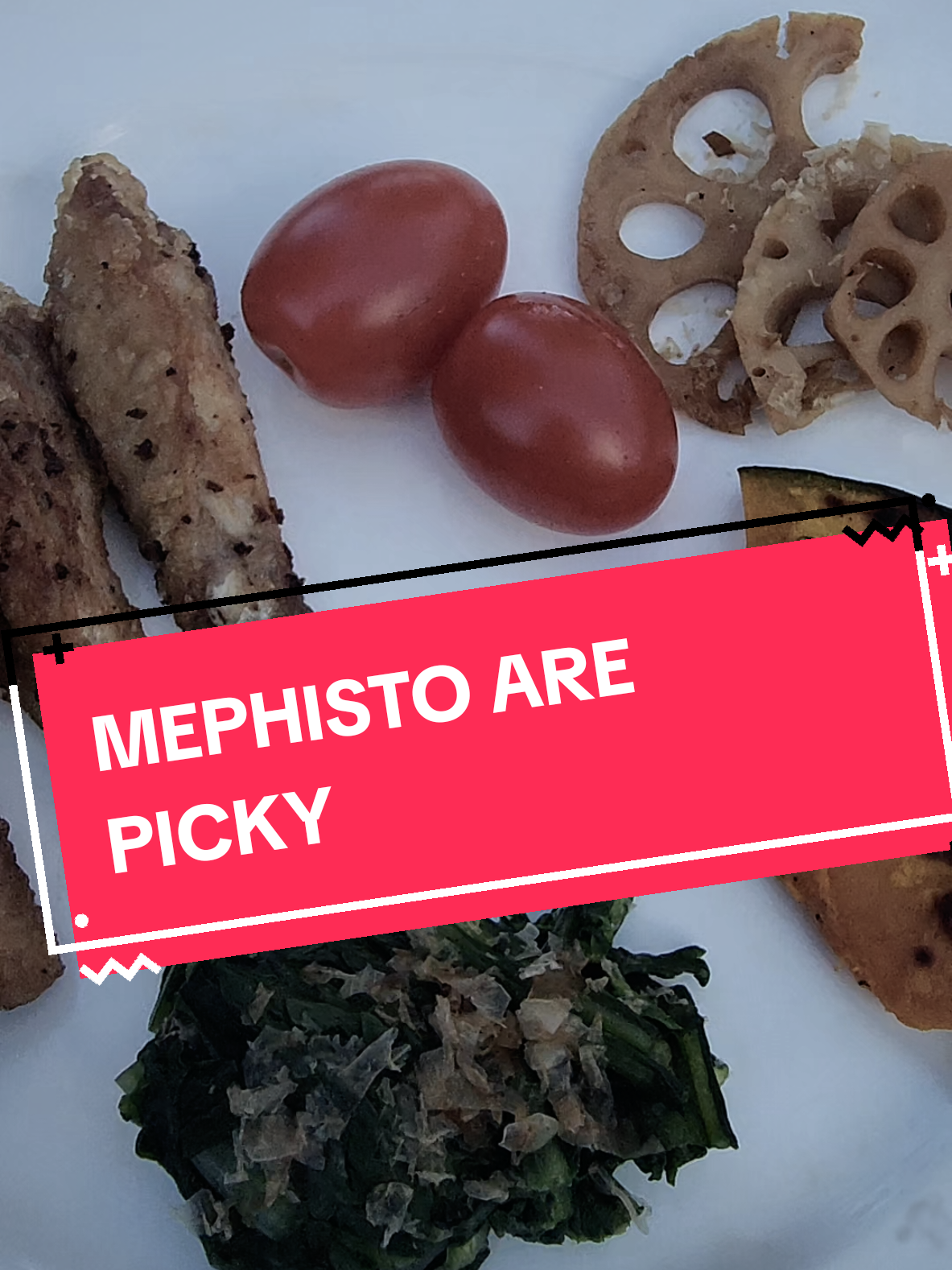 Mephisto are picky, he always desire for something else,  and it's not always meat. So ..I cook for him multiple things .. Btw.. eggplants, tomatoes and potatoes are deadly to chikens.  #lads #mephisto #raven #crow