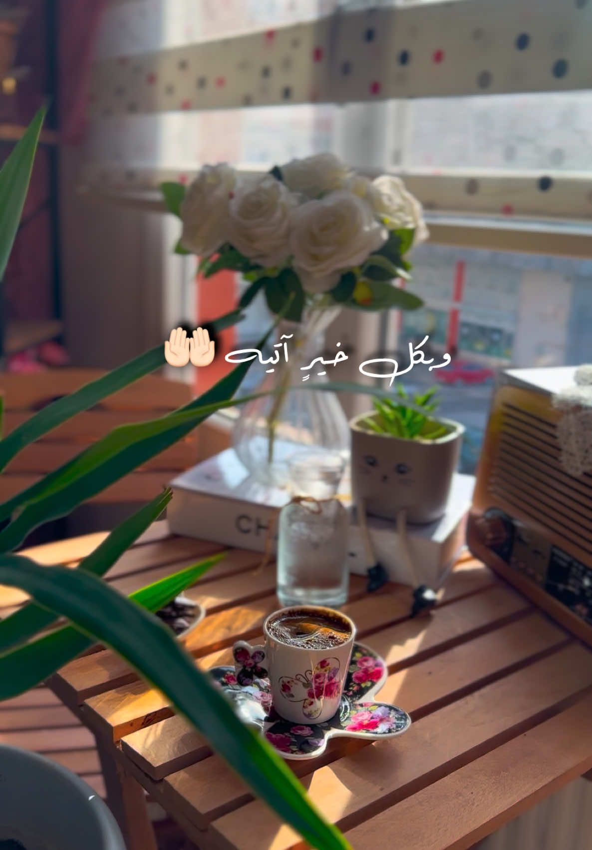 #اللهم_امين_يارب_العالمين_لنا_ولجميع 🤲🏻🌷🌷#صباح_الخير #فراشة____الصباح🦋✨ #تصويري📸♥️✨ 