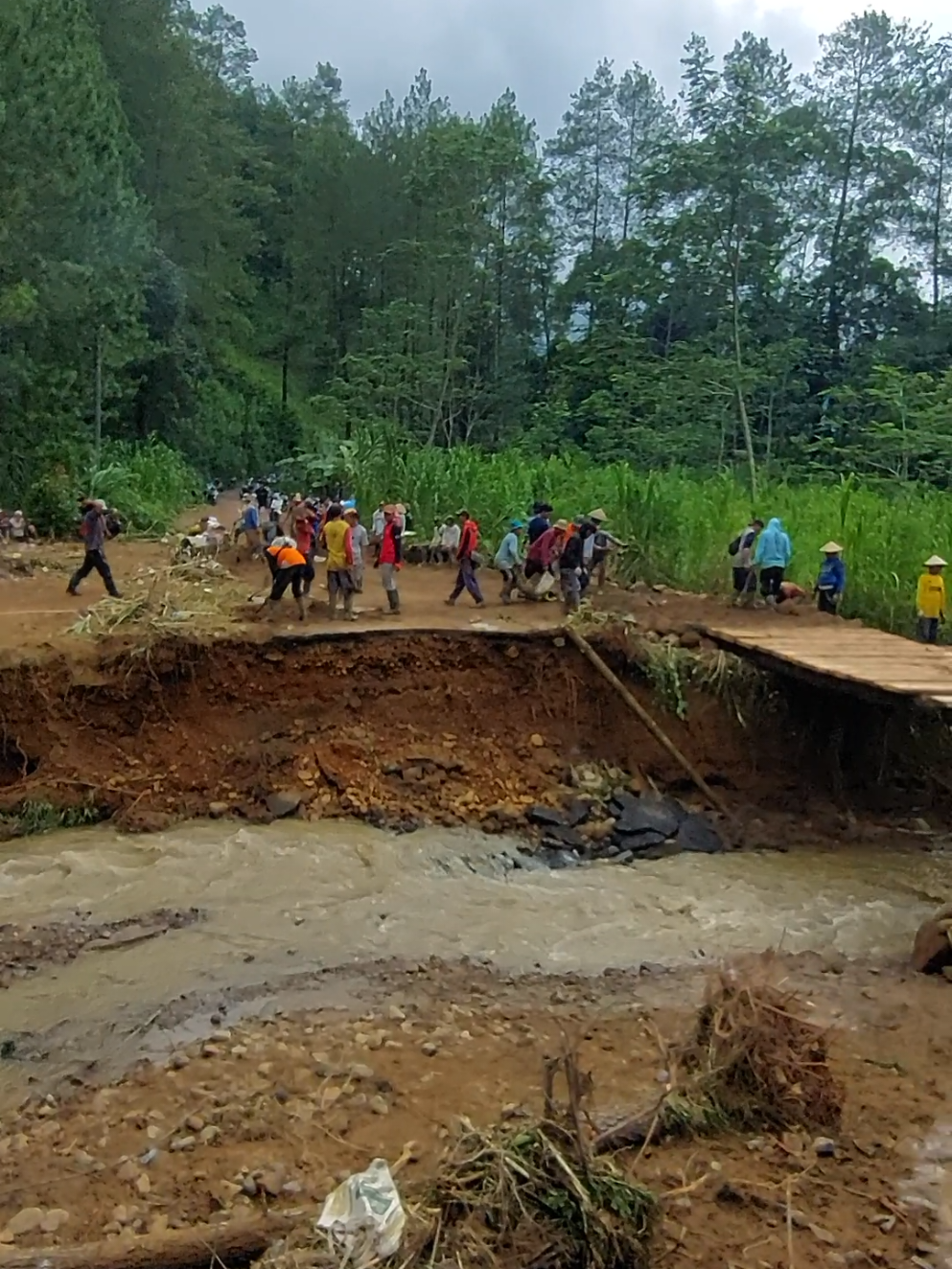 dari desa tlogopakis, kambangan, rowo, curugmuncar, songgodadi bergotong royong membuka akses jalan membuat jembatan alternatif pakai kayu agar bisa tembus ke kecamatan petungkriyono. 