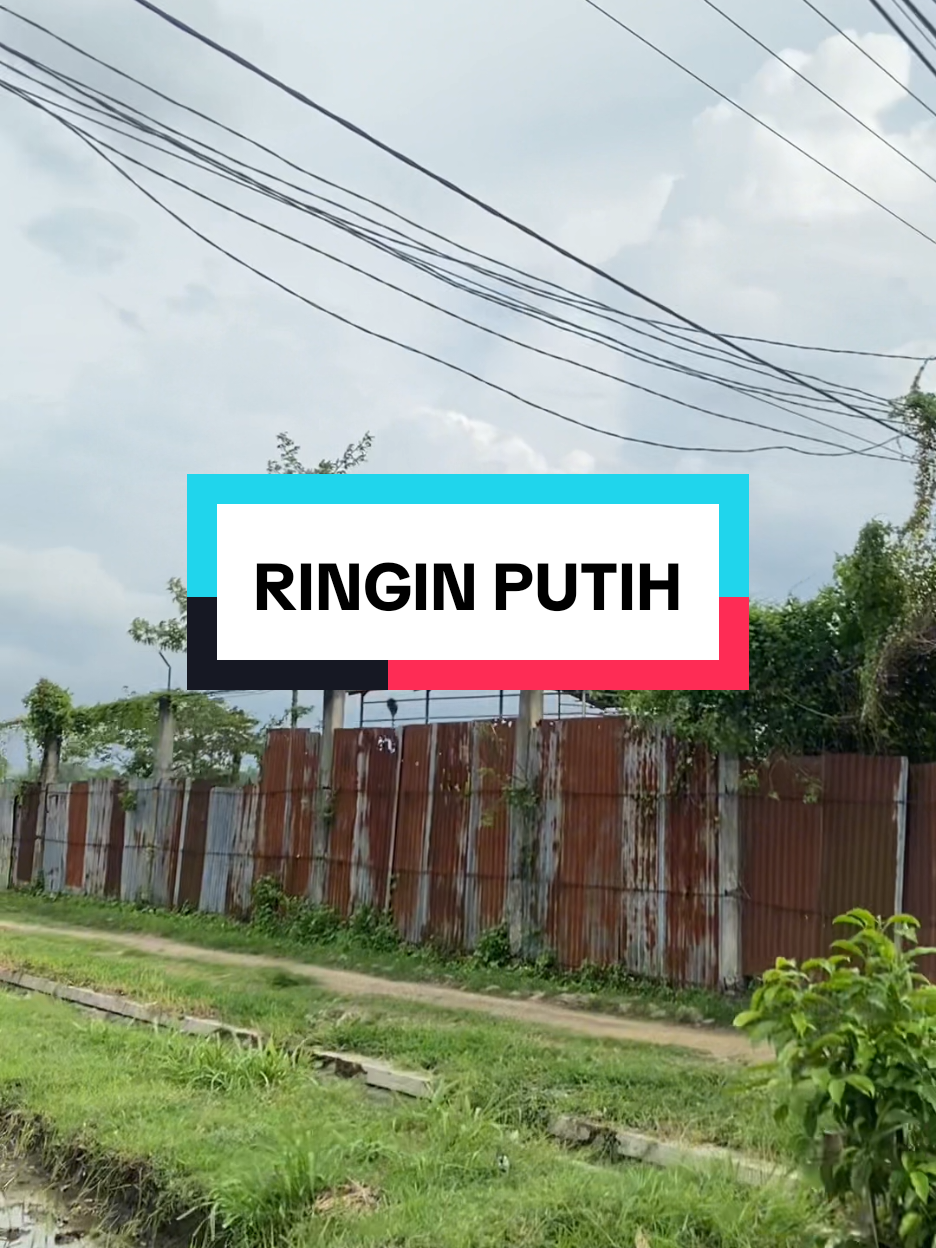 kne Iki lho bolo deso ringin putih ,Sampung.., #sampungponorogo #ringinputih #pabriksampung