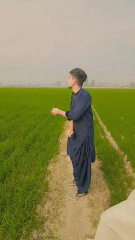 #FOR#FORYOU✌️#Public #baloch👑#SONG#❤️