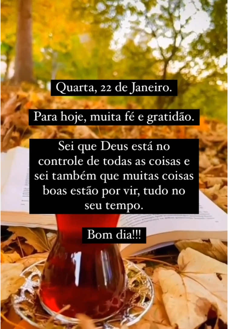 QUE ASSIL SEJA A VONTADE DO SENHOR 🙌🙏❤️ #bomdia #frasesmotivacionais #motivacao #reflexao 