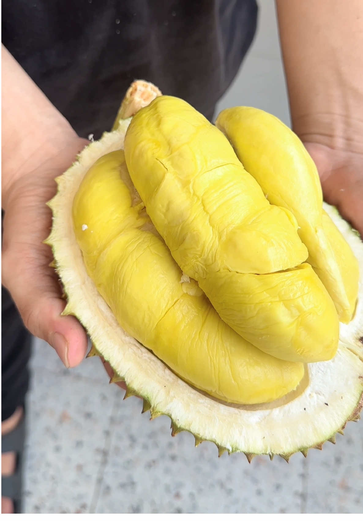 Udah tau kan klo mau makan durian disamarinda harus kemana 🤤 #durian #durianlover #duriankaltim #durianabah 